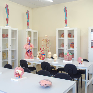 Laboratório de Anatomia